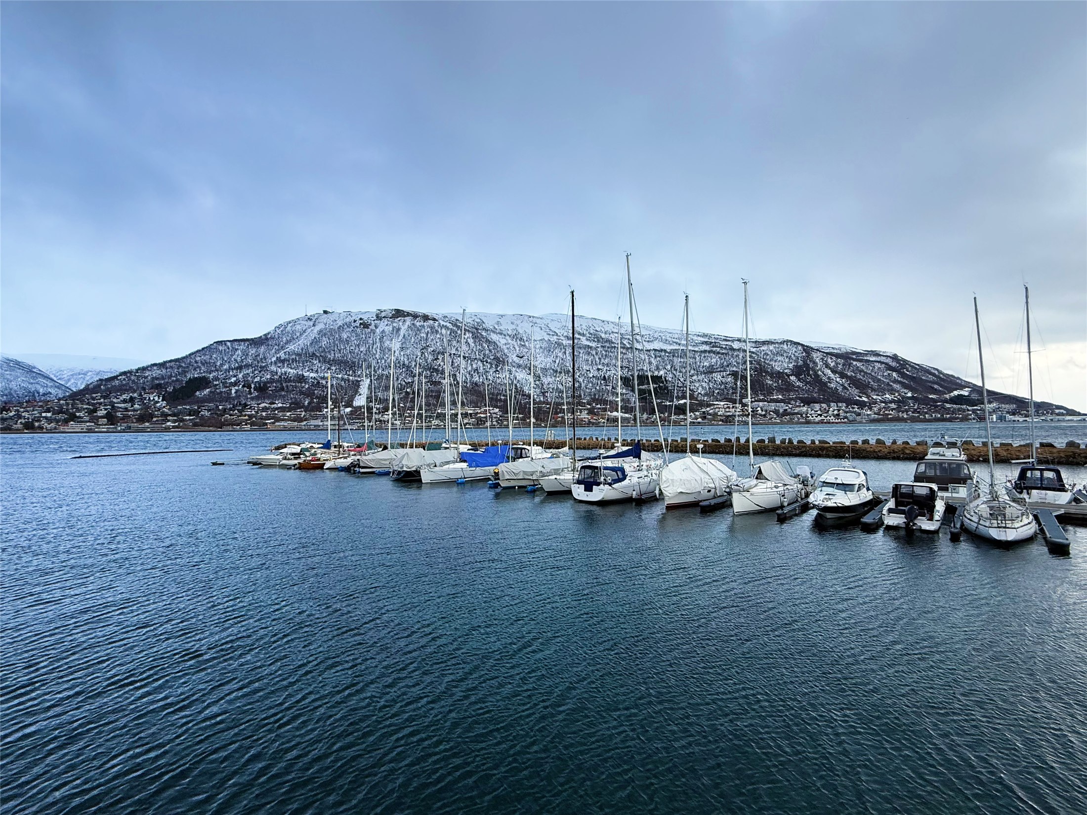 Tromsø marina and snowy hillside