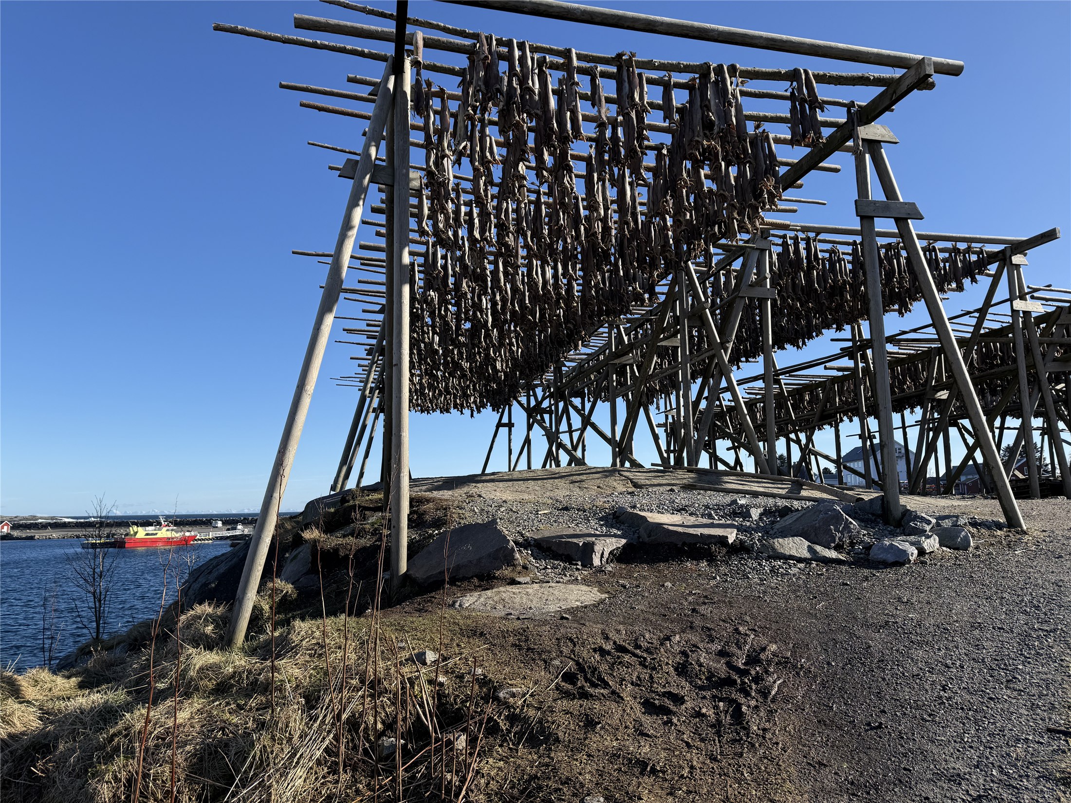 Fish-drying racks in Å, Lofoten